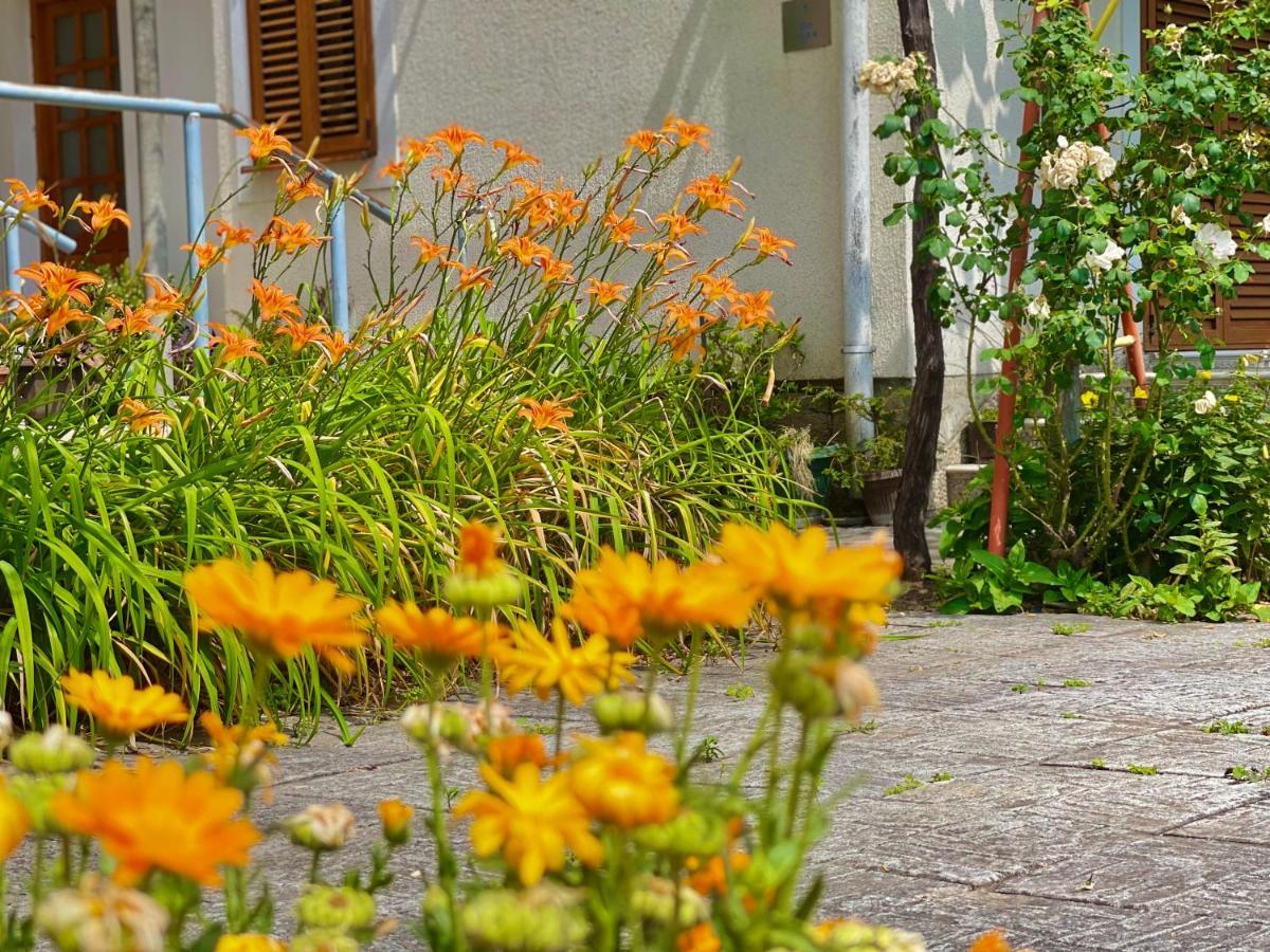Garden House 布德瓦 外观 照片